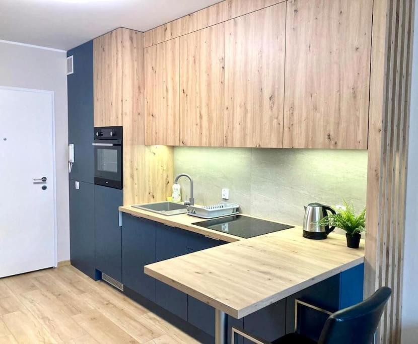 Platon Apartment Lodz (Lodz)