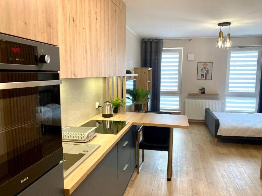Platon Apartment Lodz (Lodz)