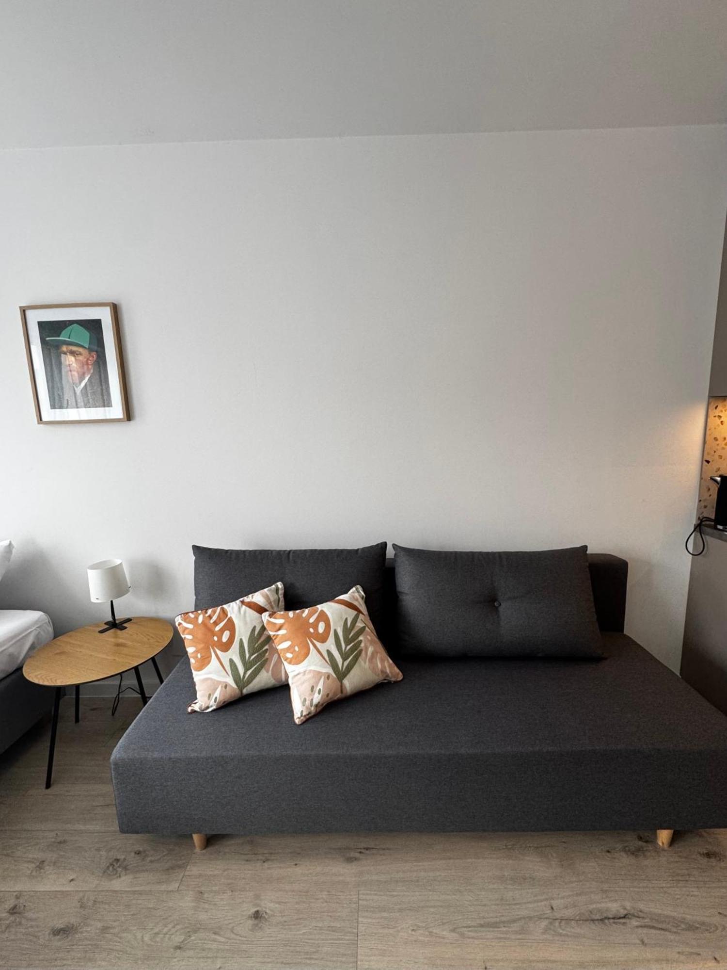 Platon Apartment Lodz (Lodz)