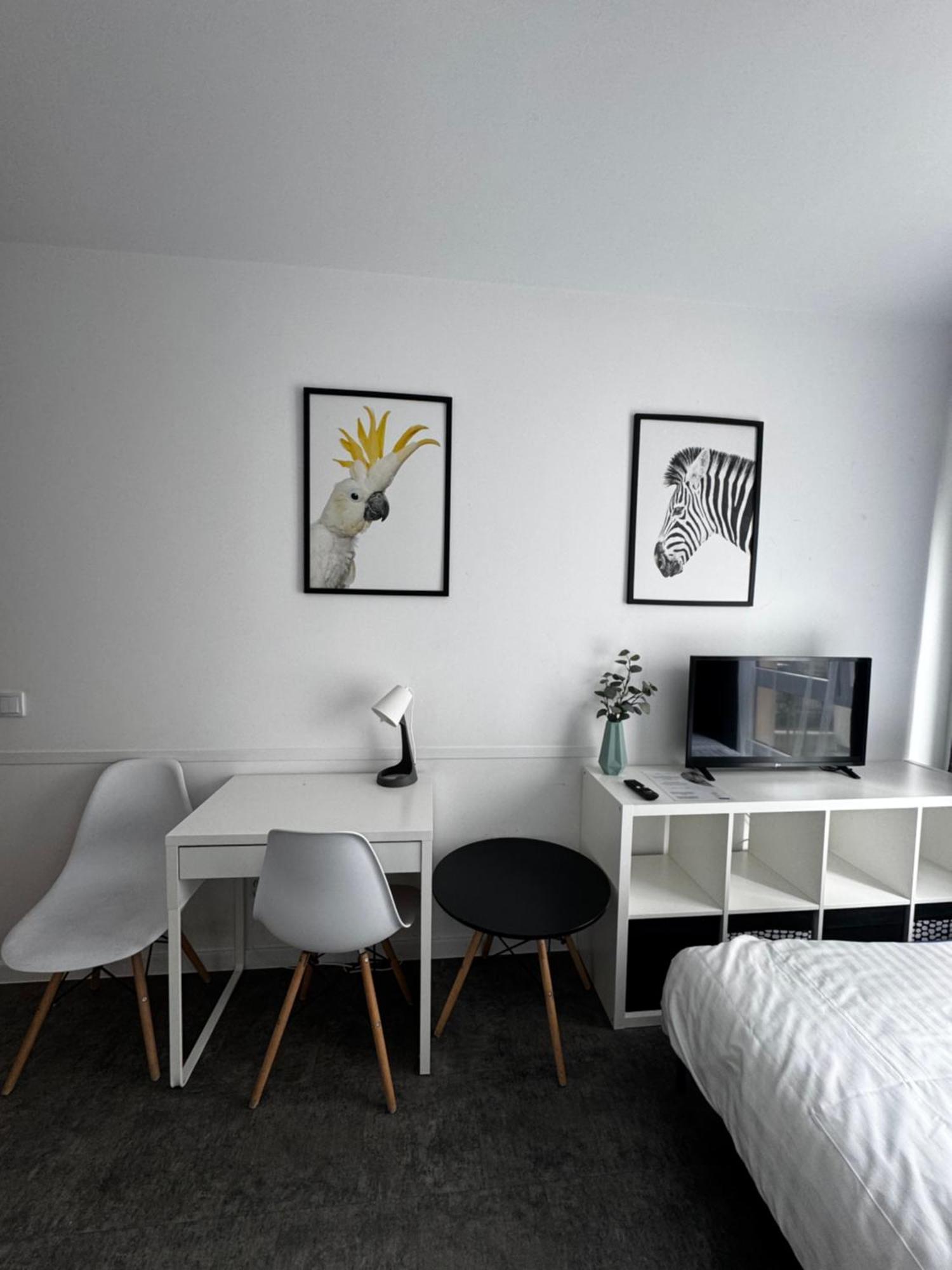 Apartment Platon *