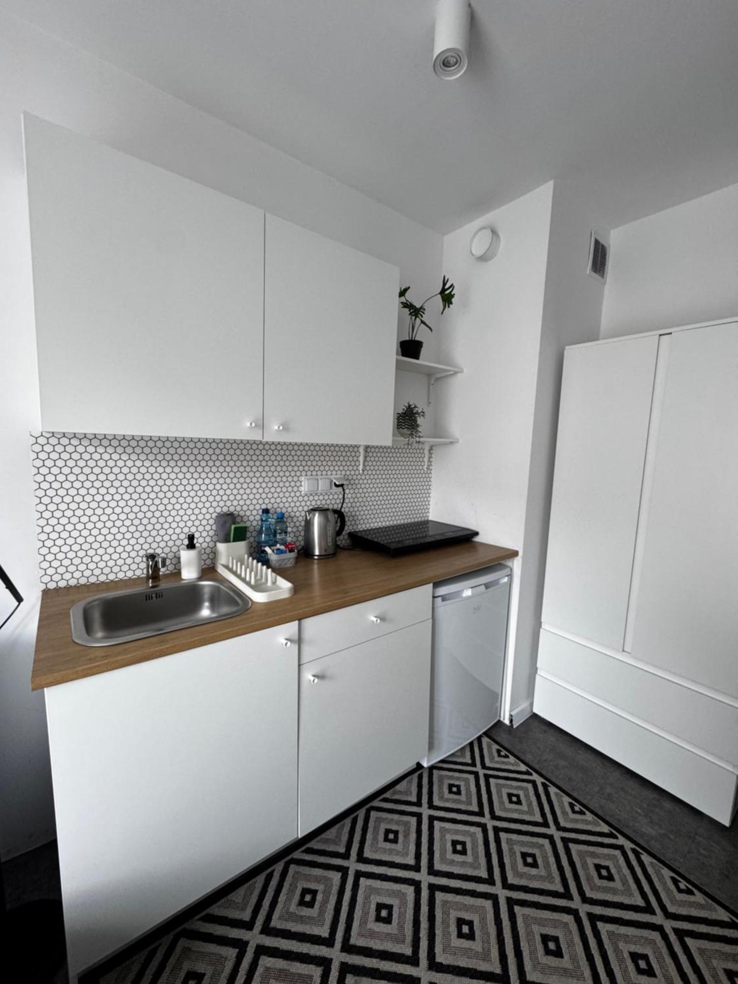 Platon Apartment Lodz (Lodz)